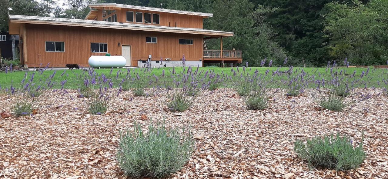 Angels Rest Lavender Farm Bed and breakfast